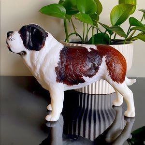 “Bucky” Breyer St. Bernard🐾🐶